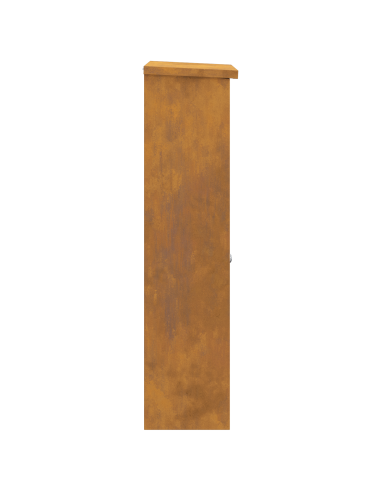 Cassetta per pacchi con porta Ruggine 44,5 x 29 x 110,5 cm
