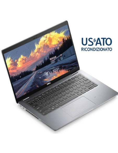 NB REF I5 14 8GB 256GB  W11P I5-11XX0U  DELL LATITUDE 5420