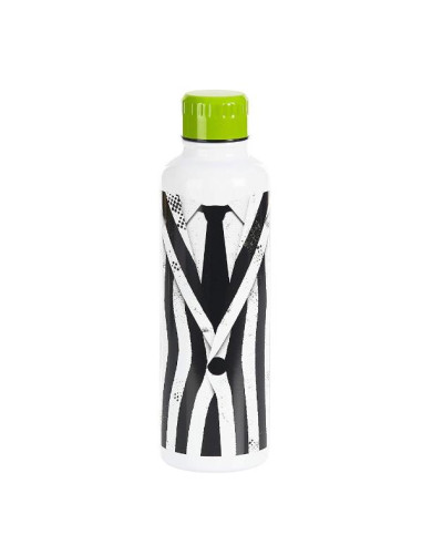 BEETLEJUICE METAL WATER BOTTLE