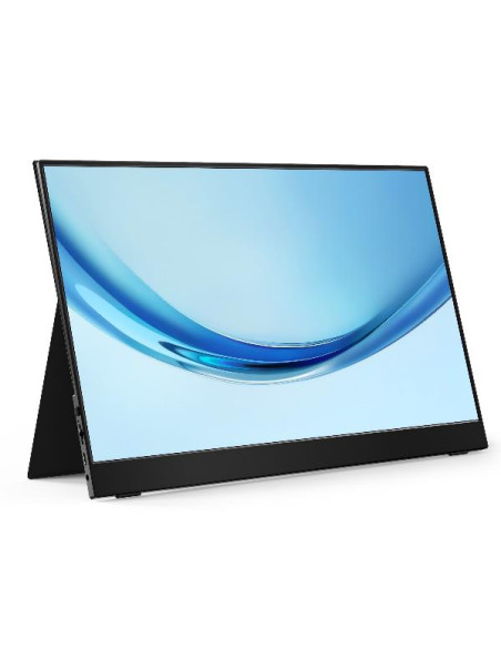 17,3  PORTABLE FULL HD 60HZ