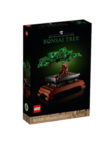 ALBERO BONSAI
