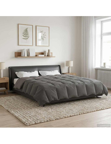 Piumone Completo Annuale Grigio chiaro 220 x 240 cm Microfibra