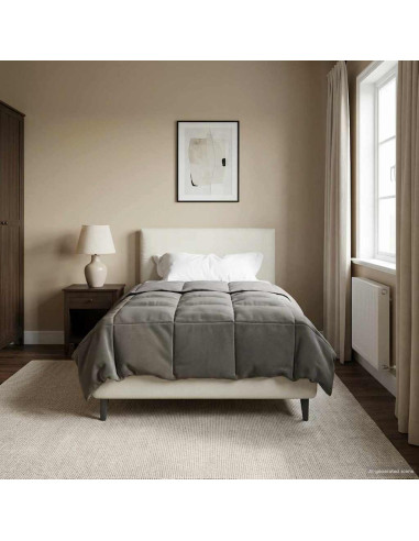 Piumone Completo Annuale Grigio chiaro 140 x 220 cm Microfibra