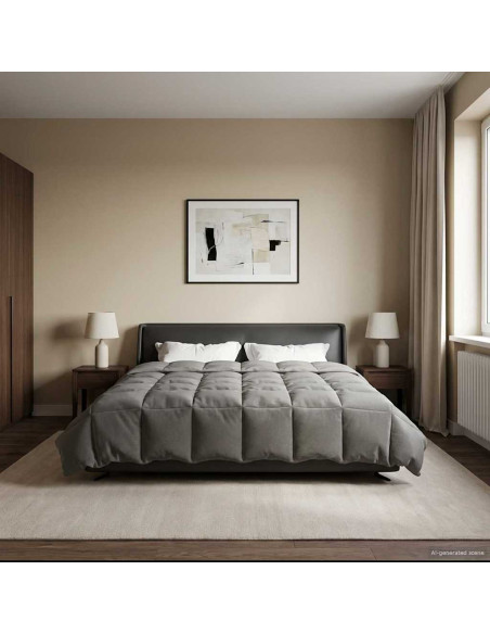 Piumone Completo Annuale Grigio chiaro 200 x 240 cm Microfibra