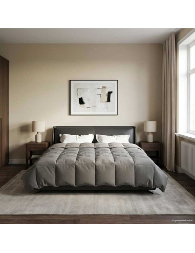 Piumone Completo Annuale Grigio chiaro 200 x 200 cm Microfibra