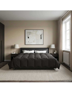 Piumone Completo Annuale Antracite 220 x 260 cm Microfibra