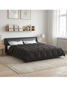Piumone Completo Annuale Antracite 200 x 220 cm Microfibra