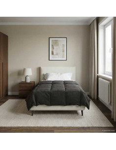 Piumone Completo Annuale Antracite 140 x 200 cm Microfibra