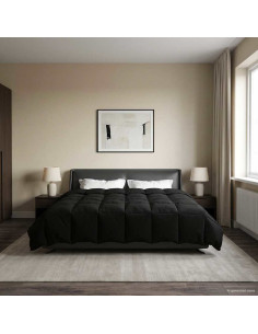 Piumone Completo Annuale Nero 200 x 200 cm Microfibra