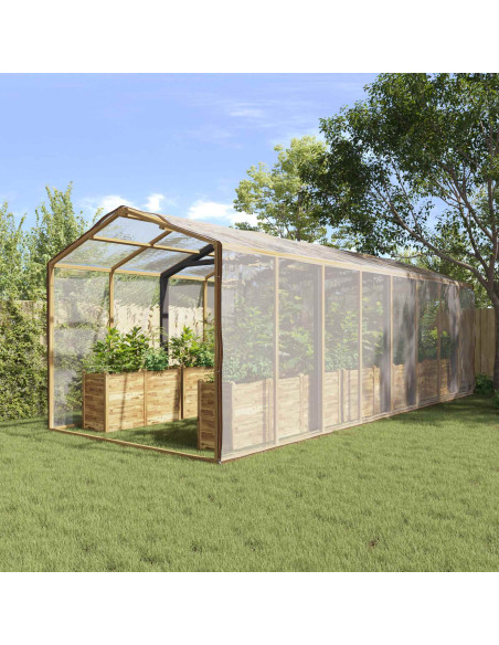 Telo con Occhielli Trasparente 8 x 10 m Polietilene