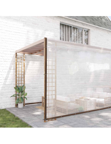 Telo con Occhielli Trasparente 10 x 10 m Polietilene