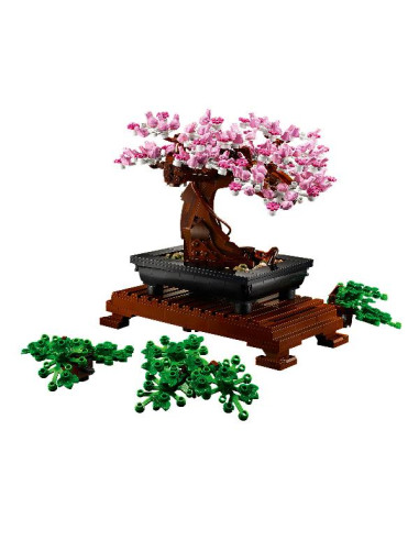 ALBERO BONSAI