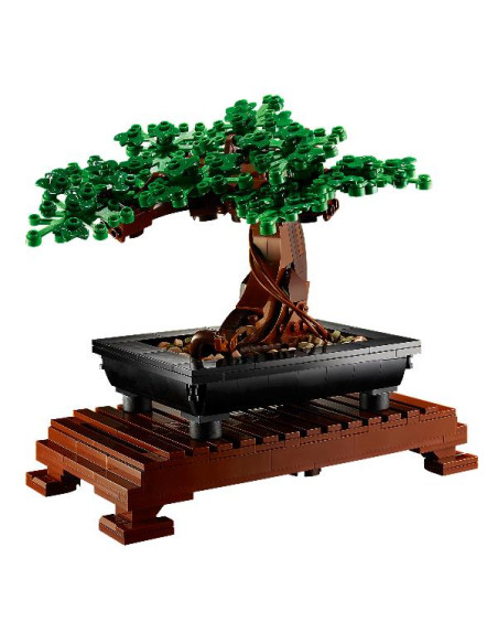 ALBERO BONSAI