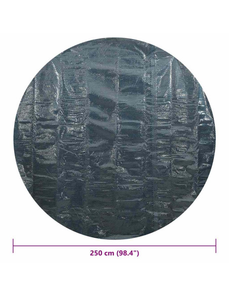 Pellicola Galleggiante Solare PE per Piscina 250 cm Nero e Blu