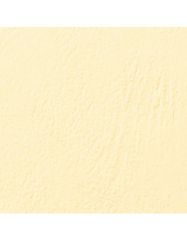 GBC Copertine rilegatura LeatherGrain 250 gsm A4 avorio (100)