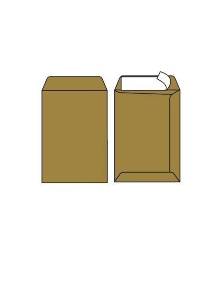 CF500 BUSTE SACCO AVANA 23X33CM