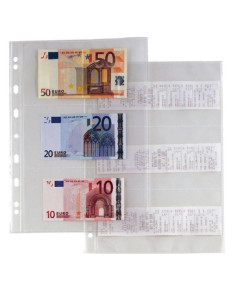 CF10BUSTE ATLA 6 S TRASP