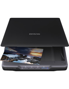 Epson Perfection V39II Scanner piano 4800 x 4800 DPI A4 Nero