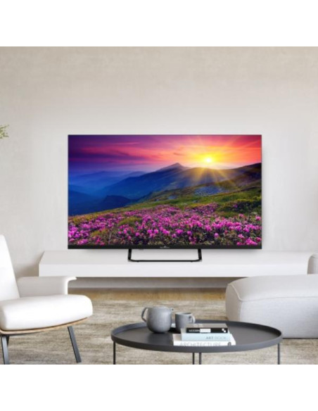 $32 HD VIDAA HOTEL MODE TVSAT