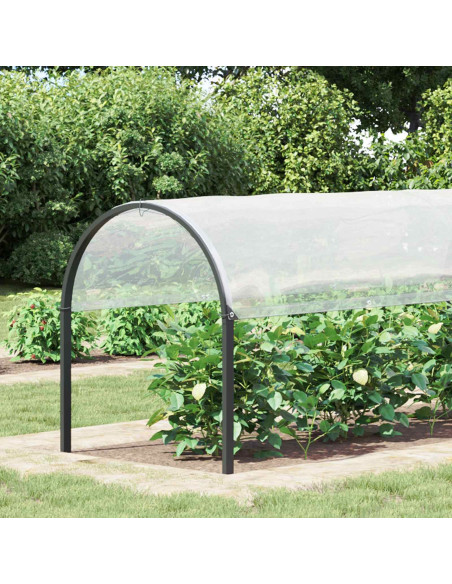 Telo con Occhielli Trasparente 2 x 12 m Polietilene