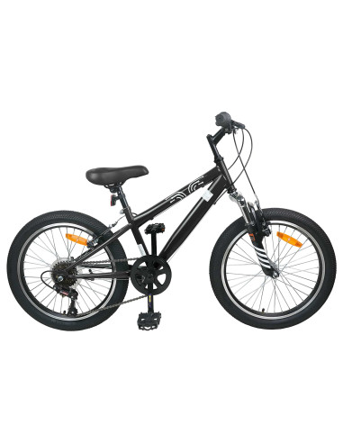 Kids Mountain Bike 20 Pollici 6-Speed per 5-8 anni Nero