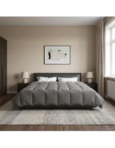 Duvet Estivo Trapuntato Grigio chiaro 220 x 260 cm Microfibra