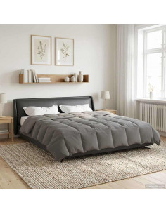 Duvet Estivo Trapuntato Grigio chiaro 200 x 220 cm Microfibra