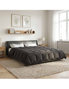 Duvet Estivo Trapuntato Antracite 200 x 200 cm Microfibra