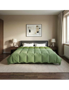 Piumone Completo Annuale Verde 200 x 240 cm Microfibra