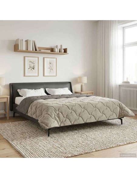 Piumone Completo Annuale Trapuntato Grigio chiaro 220 x 260 cm