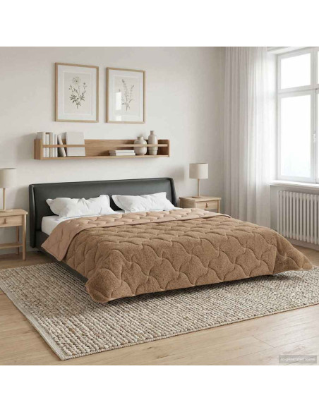 Piumone Completo Annuale Trapuntato Talpa 200 x 240 cm