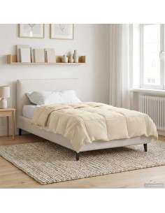 Duvet Invernale Trapuntato Crema 155 x 220 cm Microfibra