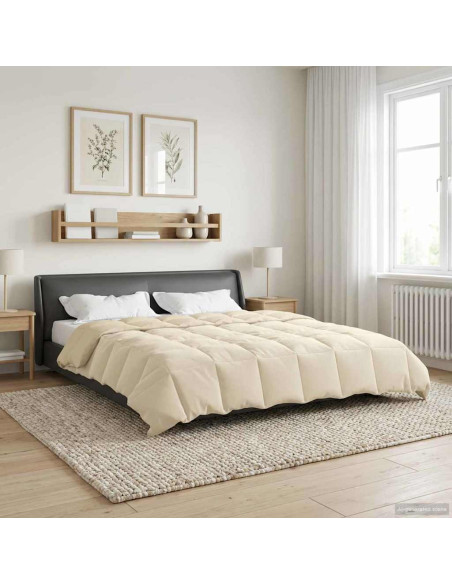 Duvet Invernale Trapuntato Crema 200 x 220 cm Microfibra