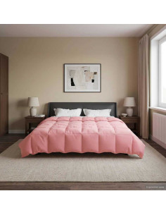 Piumone Completo Annuale Rosa 220 x 240 cm Microfibra