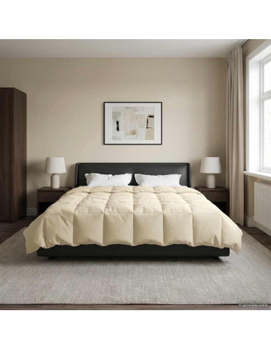 Duvet Invernale Trapuntato Crema 220 x 240 cm Microfibra