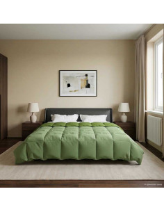 Duvet Invernale Trapuntato Verde 200 x 240 cm Microfibra