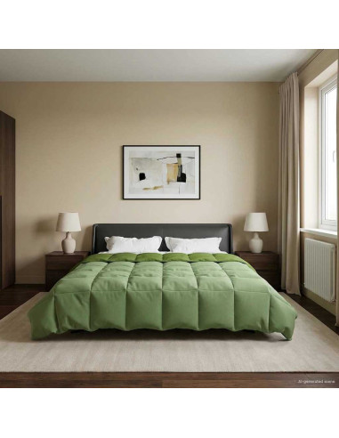 Duvet Invernale Trapuntato Verde 200 x 240 cm Microfibra