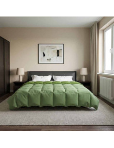 Piumone Completo Annuale Verde 200 x 220 cm Microfibra