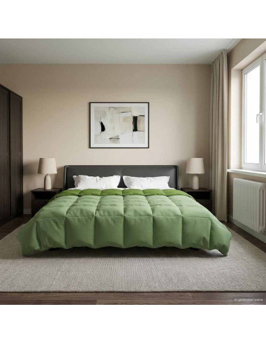 Piumone Completo Annuale Verde 200 x 220 cm Microfibra
