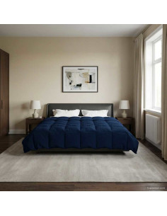 Piumone Completo Annuale Blu Scuro 200 x 220 cm Microfibra