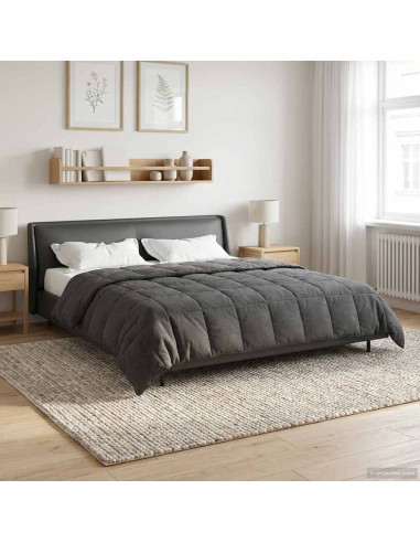 Piumone Completo Annuale Trapuntato Antracite 220 x 260 cm