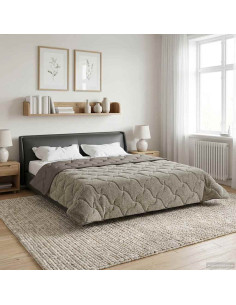 Piumone Completo Annuale Trapuntato Grigio chiaro 200 x 220 cm