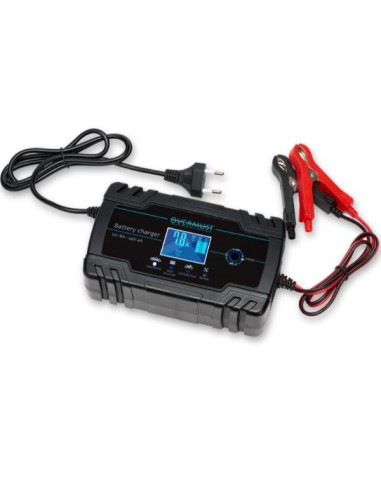 CARICA BATTERIE PER AUTO 12V - 8A