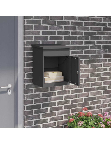 Cassetta per pacchi con porta Nero 47.5 x 38 x 59 cm Acciaio
