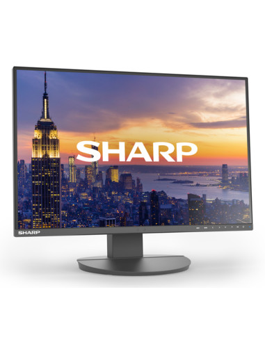 Sharp MultiSync EA242W Monitor PC 61 cm (24") 1920 x 1200 Pixel Full HD LCD Nero