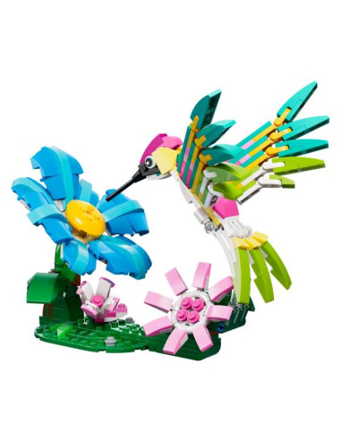 ANIMALISELVATICI COLIBRÌ VARIOPINTO