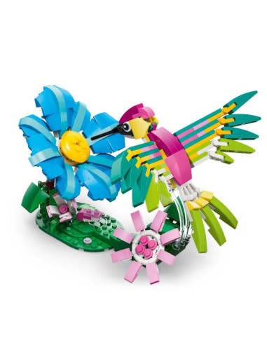 ANIMALISELVATICI COLIBRÌ VARIOPINTO