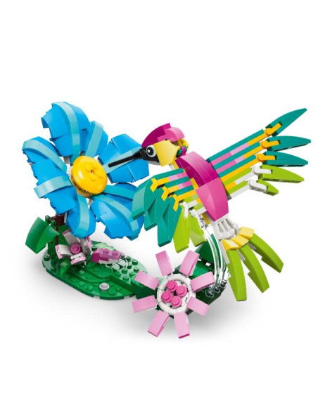 ANIMALISELVATICI COLIBRÌ VARIOPINTO