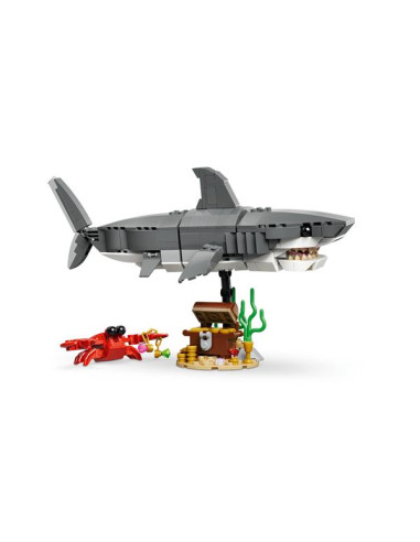 SQUALO CON SCRIGNO DEL TESORO