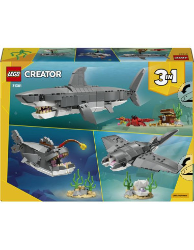 SQUALO CON SCRIGNO DEL TESORO